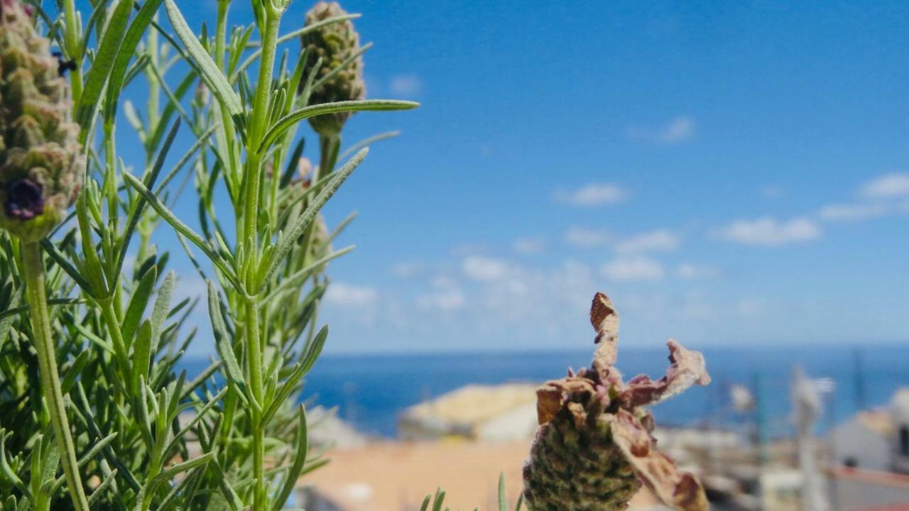 Home Holiday Sicily Isola delle Femmine Buitenkant foto